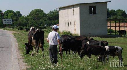 млада гвардия почина едно животно антракс