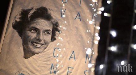 колекция киноафиши търг бонънс