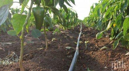 земеделски производители излязоха протест