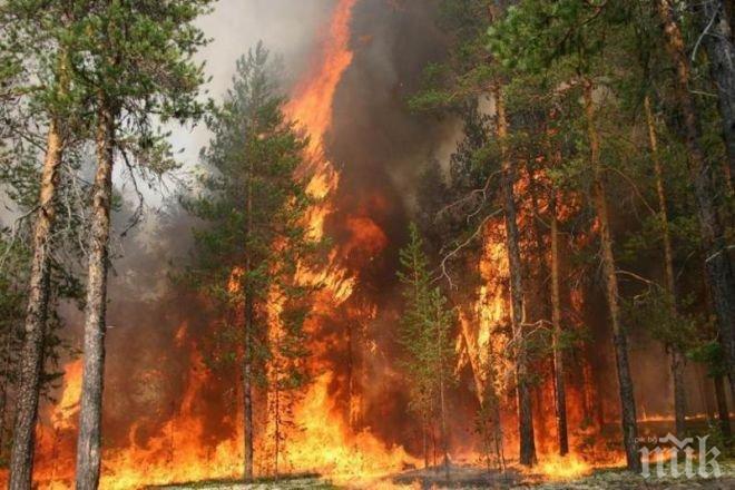 СТАВА СТРАШНО: Огромен пожар от Северна Македония заплашва да влезе в България