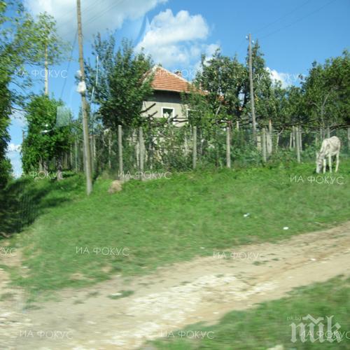 В шабленското село Тюленово ще се проведе арт фест