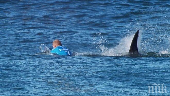 Бяла акула нападна топ сърфист по време на живо излъчване (видео)