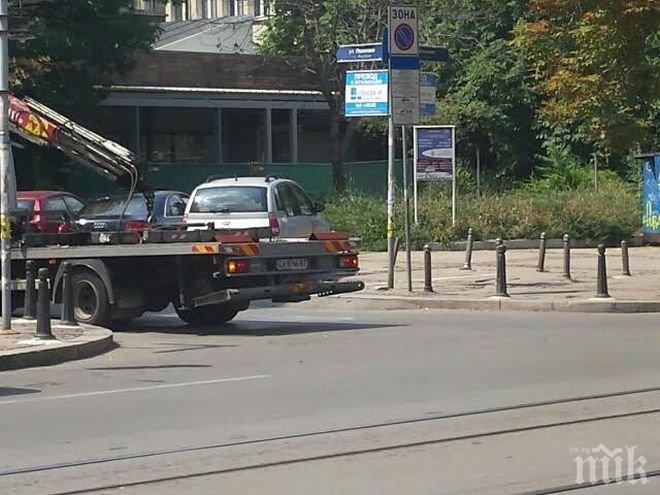 Столичната община развъртя паяка - вдига коли, както й скимне, дори без полиция (снимки)