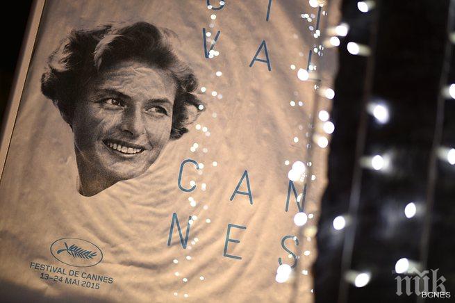 Колекция от киноафиши - на търг в Бонънс