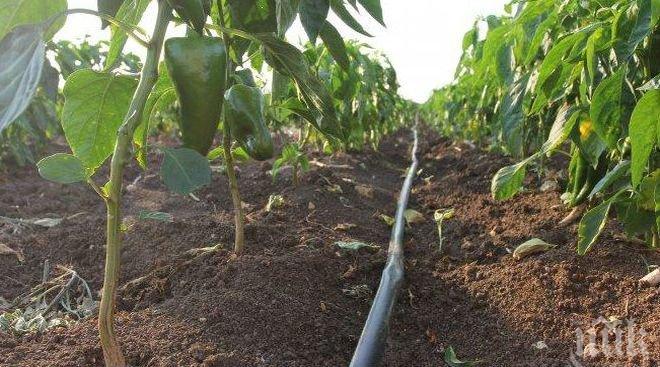 Земеделски производители излязоха на протест
