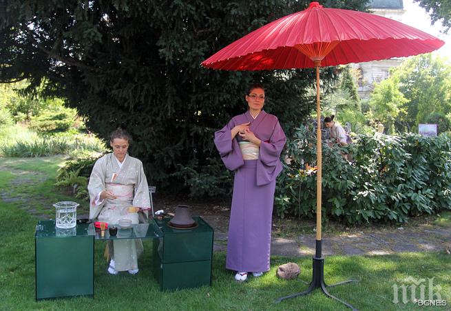 Японска чаена церемония в горещия ден