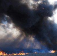 Огромен пожар обхвана 2000 дка гори в Хасковско