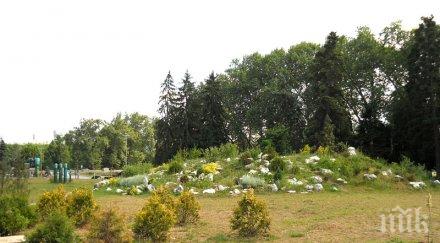 смъртта борисовата градина