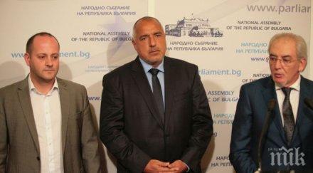 пик съгласие конституционната реформа