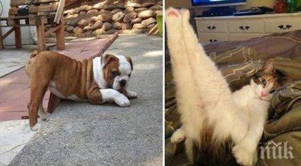 животни подценяване дадоха един добър урок