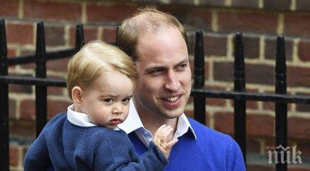 мъжете пълнеят бащинството