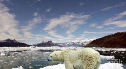 филипините обещание съберат милиона подписа петиция климата папата