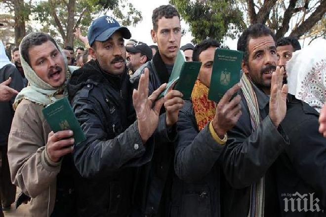 Проверяват автобуси и камиони в Пловдив за трафик на хора, наркотици и оръжие