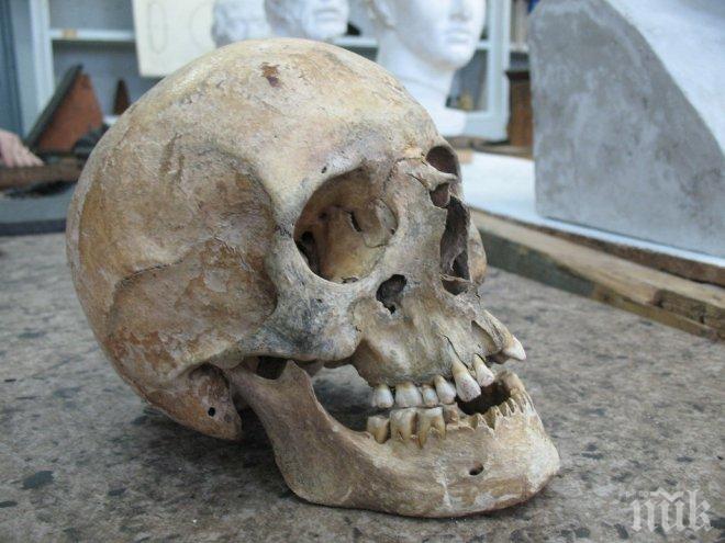 Уникум! Откриха рядък череп с удължена форма