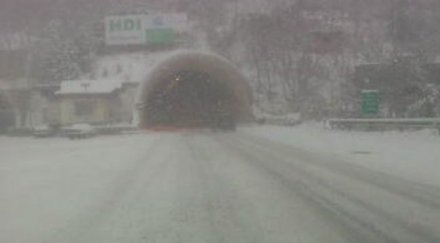 румен петков нападна лиляна павлова пътната обстановка снимка