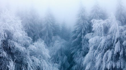 снегът блокира пътя шипково рибарица