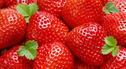 търсят жени бране ягоди испания