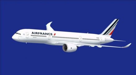 air france пусна евтини билети пътници без багаж