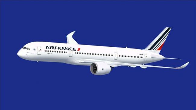 Air France пусна евтини билети за пътници без багаж