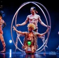 Граната избухна в цирк в Перу, 11 души са ранени