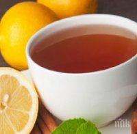 Засилен е контролът над естествените находища на мурсалски чай
