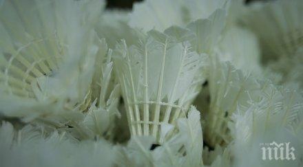 първи четвъртфинал българия световното бадминтон глухи