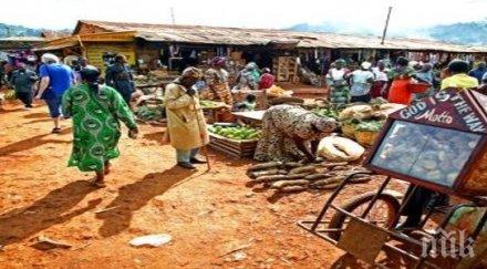 единадесет души загинаха двоен атентат северен камерун