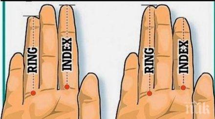 безименния пръст показалеца разбере здравословното състояние