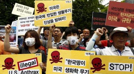 пентагонът сеел антракс заради грешки стерилизацията