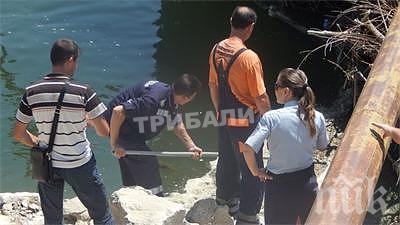 Ужас! Рибари откриха труп в Дунава