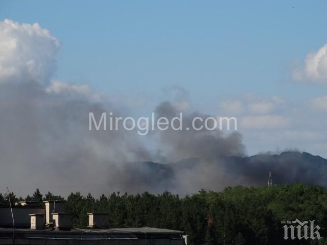 Пламна сметището в Перник (снимки)