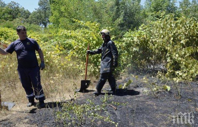 Сухи треви горяха в столичния квартал Зона Б-5