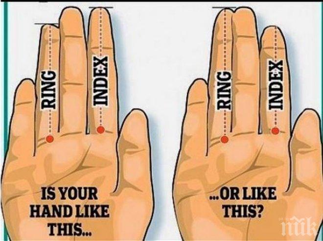 По безименния пръст и показалеца може да се разбере какво е здравословното ви състояние
