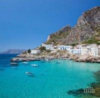 Опазват рибата в Черно море с арт инициатива