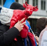 Белгийски министър моли да не се намаляват изкупните цени на млякото