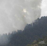 Пожарът над Рилския манастир се разпростря върху 100 дка