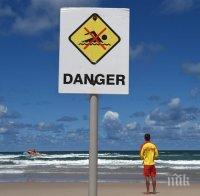 Затвориха плажове в Австралия заради опасност от акули