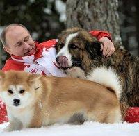 Момиченце писа на Путин имейл с молба за кученце