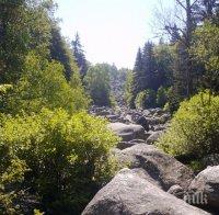 Столичани ще търсят прохлада през уикенда на Витоша