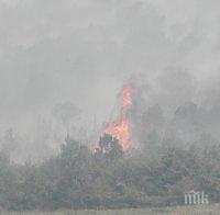 Хеликоптери и военни гасят пожара в Рила