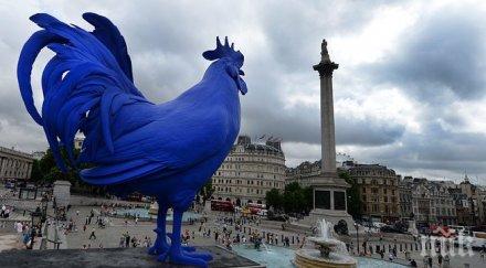 петлите пеят йерархичен ред