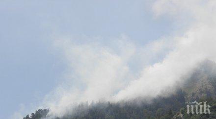 пожарът рила овладян