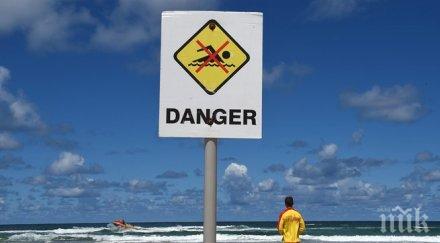 затвориха плажове австралия заради опасност акули