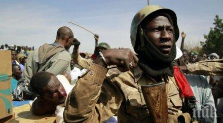 чистка службите сигурност армията алжир