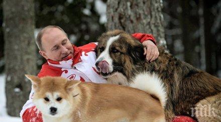 момиченце писа путин имейл молба кученце