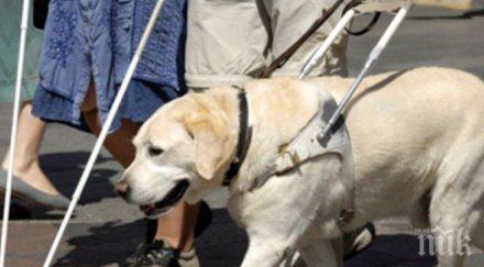 кучета водачи вече влизат институциите бургас