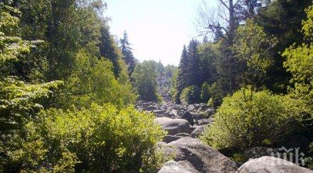 столичани търсят прохлада уикенда витоша