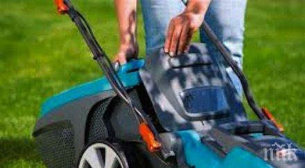 редовно поддържат тревните площи видин