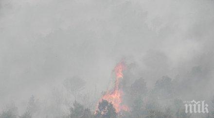 хеликоптери военни гасят пожара рила