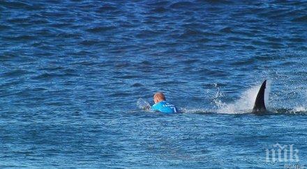 нова жертва акула водите австралия